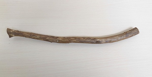お買得！国産 自然木【杉】止まり木 S40cm（止まり木のみ）ヒビ割れ